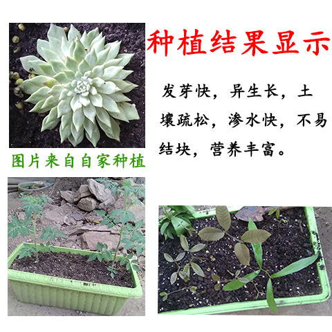 椰砖营养土可以种菜吗
