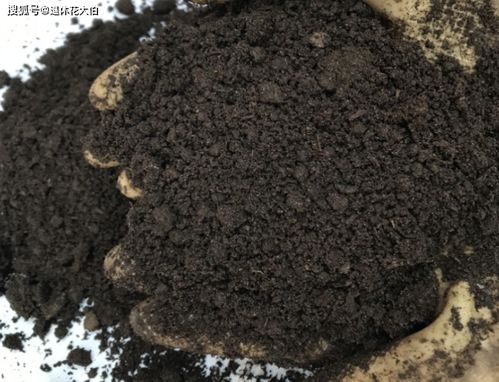 阳台上酵肥臭烘烘,弄得别人以为有便便 聪明人却早用上它们了