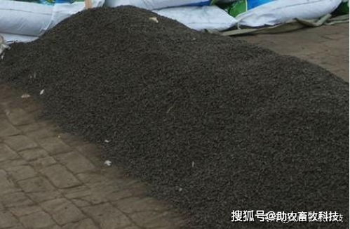 养羊场标本兼治除臭技术,短时间降低臭味约八成羊群健康羊肉更美
