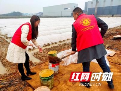 汉寿县 志愿者深入田间地头助力春耕生产