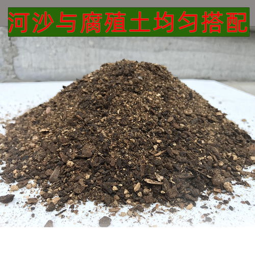 多肉土天然细河沙颗粒配土壤专用多肉营养土通用种花铺面石粗沙子
