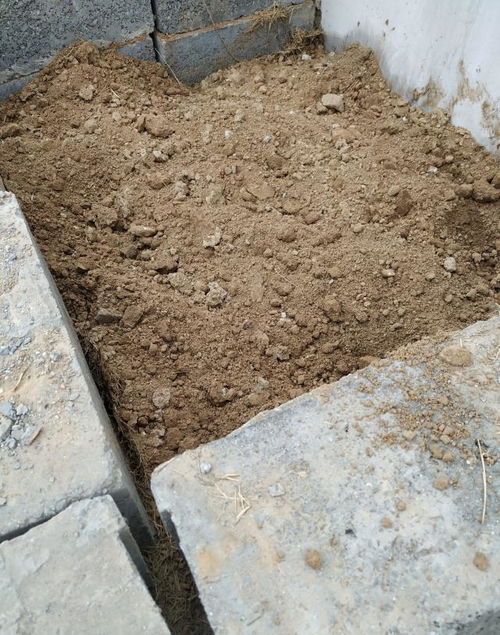养花种菜什么土最合适 三种土壤组成 万能土