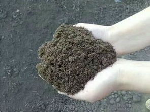 生物菌发酵羊粪价格 生物菌发酵羊粪批发 生物菌发酵羊粪厂家 马可波罗