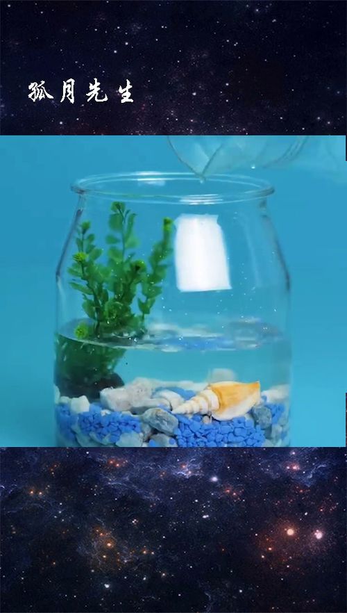 做一个装饰生态瓶吧