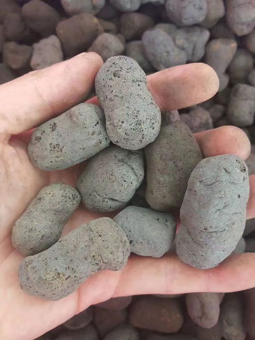 孟州市生物滤料一立方多少公斤