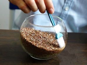苔藓微景观生态瓶制作过程