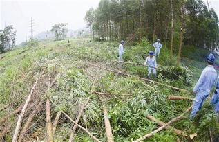 在农村,种植这些东西一定要谨慎,有可能血本无归,记住了