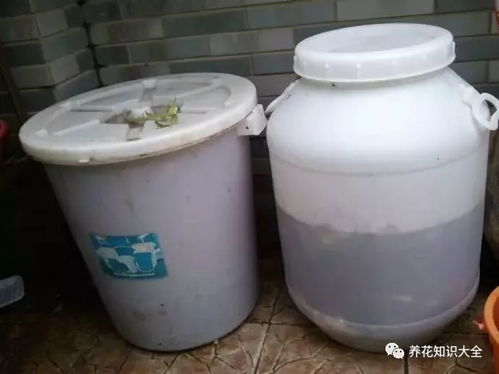 换盆的旧土千万别丢,掺点它立马肥得流油