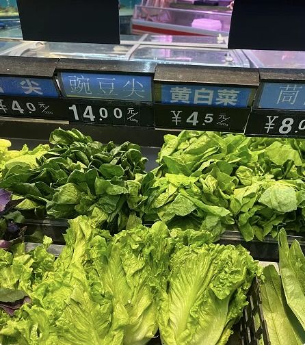 社区电商新物种,淘菜菜将带领行业走向何方