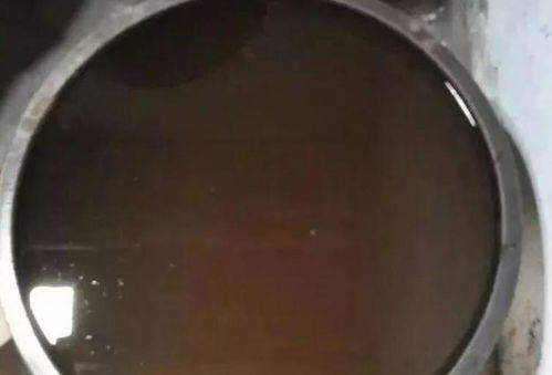 到了秋冬,养花就用上草木灰,好处多,用法多,省钱又效果好