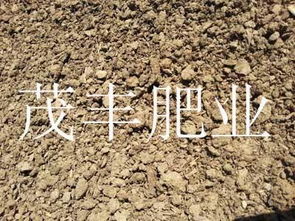 请问有机肥施多了会不会烧根呢