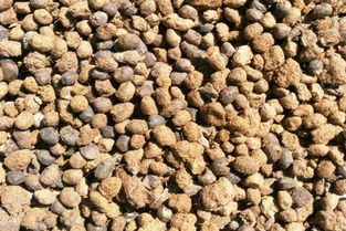 羊粪多少钱一吨 有哪些用途与价值