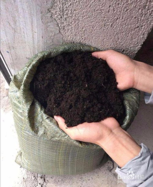 如何调配疏松透气的花土