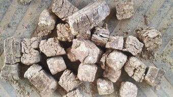 保定莲池区生物燃料颗粒多钱一吨 保定莲池区生物燃料颗粒专卖