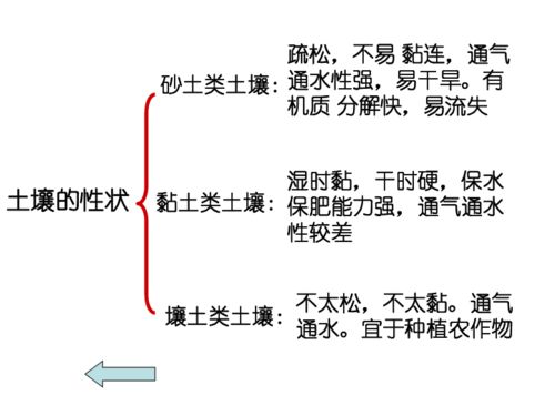 植物与土壤