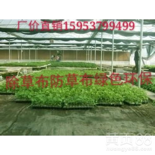 【防草布除草布什么规格质量的好_百度知道】- 黄页88网