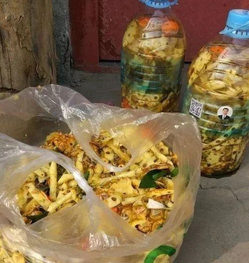 王大爷养花,只浇一种水,花肥没买过,偏偏盆盆都很旺 果皮 
