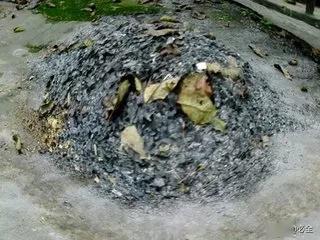 草木灰对于果树有什么好处 我们应该怎样施用草木灰