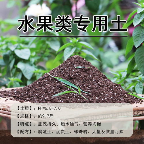营养土花土花肥营养土花盆土种菜多肉绿萝种兰花通用养花草盆景土