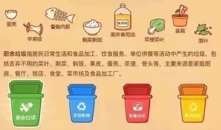 厨余垃圾自制营养土