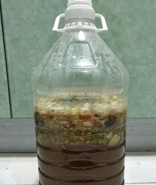 随处可见的水果皮,直接拿来沤肥,长出来的植物嗖嗖蹿个