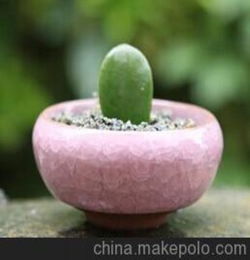 供应万业陶瓷颜色秞小花盆图片 订做陶瓷小花盆厂家 陶瓷摆件花盆