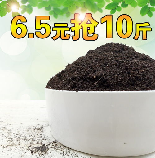 优惠券 十大品牌排行榜 哪个牌子好 淘宝商城 天猫商城精选 京东商城 拼多多商城