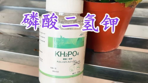 磷酸二氢钾如何使用