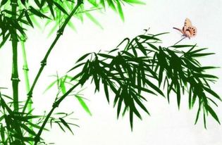 面相 脸上无肉,做事寡毒 你身边有这样的人吗,不妨看看啥意思