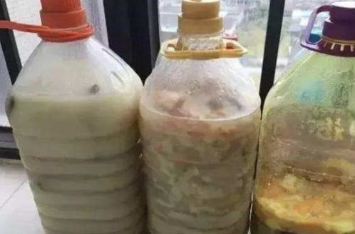 比淘米水有营养的 溶液 ,在家可以自制,浇花盆里,变旺盛 容器