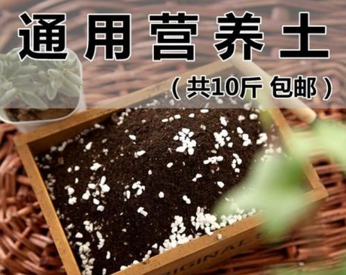 花友们, 假营养土 的7个特征,看你上过几次当