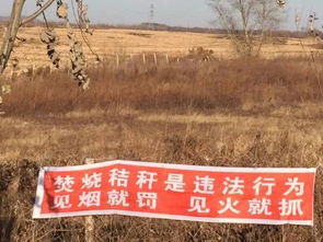 秸秆返田变废为宝 专家不敢说实话,利弊只有试过的农民知道