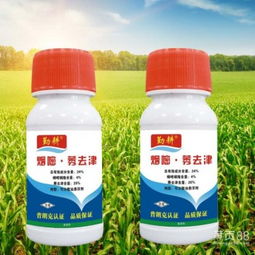 【郑州专业的玉米除草剂厂家_辽宁玉米除草剂厂家】- 黄页88网