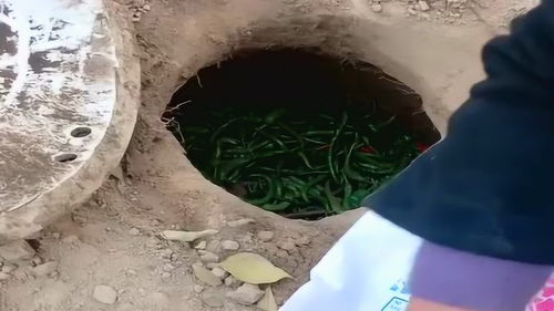 农民的智慧不服不行,吃不完的食物这样储存,放多久都不会坏