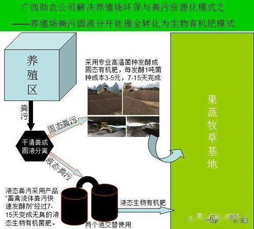 采用自动刮粪模式猪场臭味氨气大,猪粪尿水不知怎么处理怎么办 这套技术能够不增加设施投入短时间解决问题,标本兼治还能够防控非瘟有利