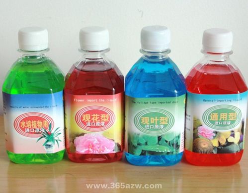 水培植物营养液怎么使用
