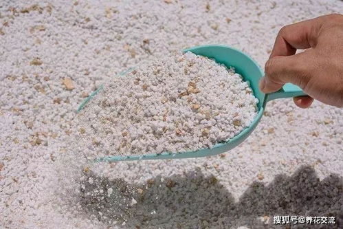 自己给植物配置盆栽土,这里有一份通用的教程