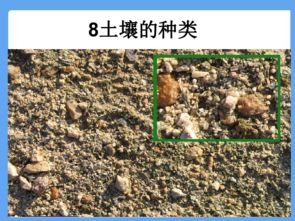 科学四年级下青岛版3.8土壤的种类课件 37张