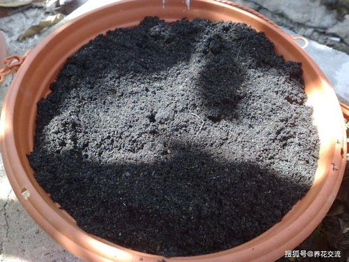 土壤消毒简单有效方法