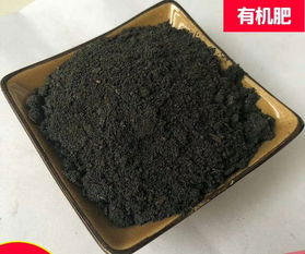 赛众土壤调理剂报价 厂家
