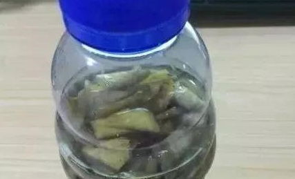 吃完的香蕉皮,装水瓶里发酵半个月,用来浇花比肥料效果好