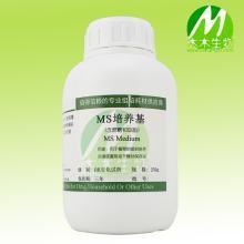所有花卉问题,都可以用药品解决 十年用药品养花经验大放送