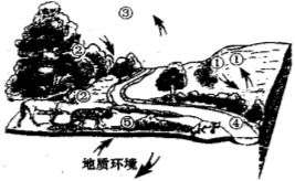 读下图,回答下列问题 10分 1 你认为保护斜坡①处的土壤不被水冲走的最好办法是 2 如果②地植被遭受大量的破坏,地理环境其他要素将会发生哪些变化 河流 动物