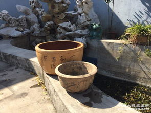 老家找了几个花盆还不错,可惜破了