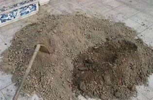 养花先配土,教你怎样配出透气透水的养花土