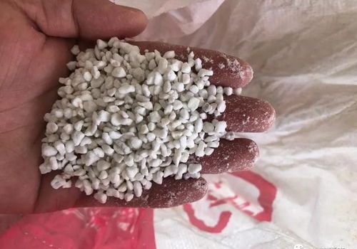 养多肉用这种土,水多了不会烂根,水少了也不会干旱