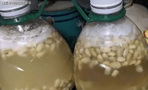 厨房有 3宝 ,养花很实用,新手花友学一学,不愁不开花
