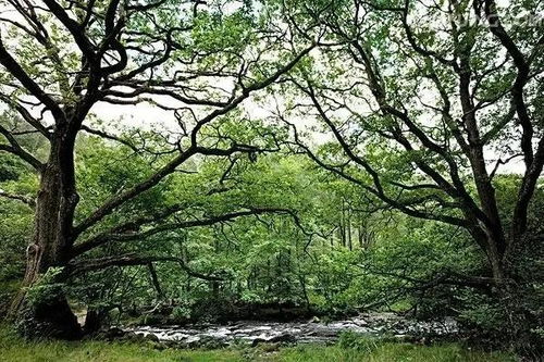 农村未来10大暴利行业