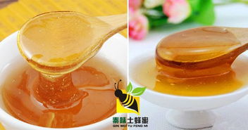 野生蜂蜜多少钱一斤 纯蜂蜜多少钱一斤