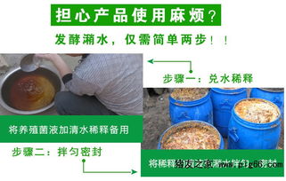发酵剩饭剩菜专用的饲料发酵剂在哪批发